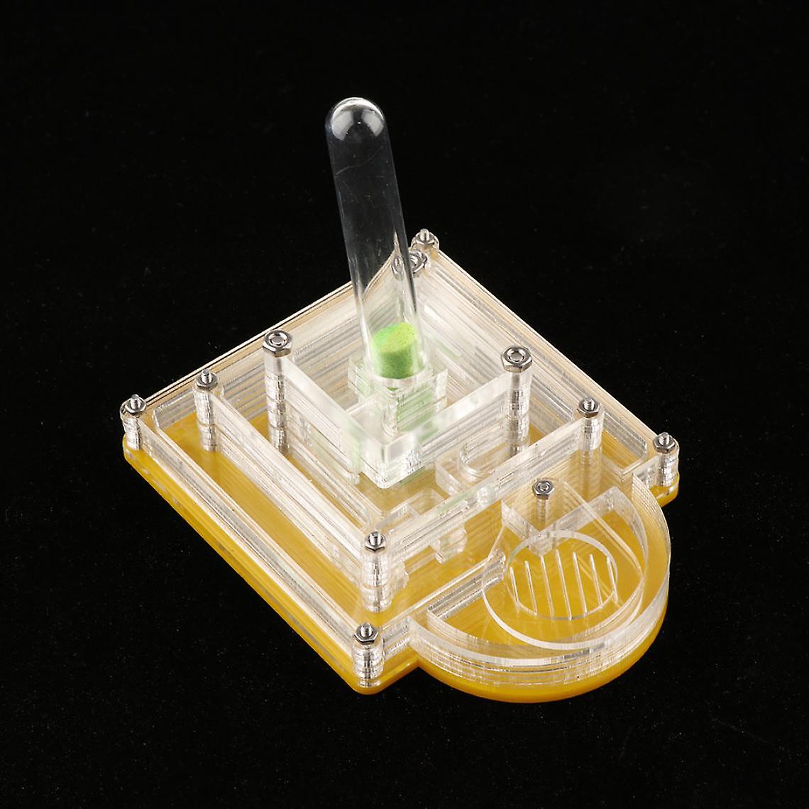 Acrylic Ant Shaped Ant Box For Acrylic Nest