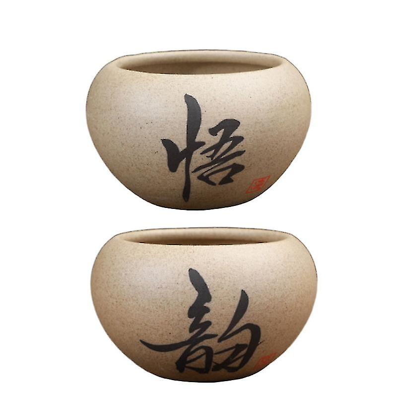2pcs Scculent Flower Pot