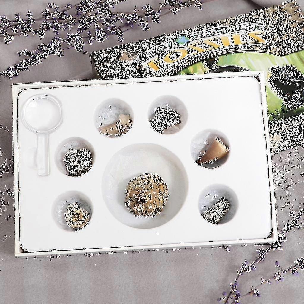 2024 Rock Mineral Collection Pk664 Real Specimens Geology Science Kit Earth Science Toy - Pack Of 7