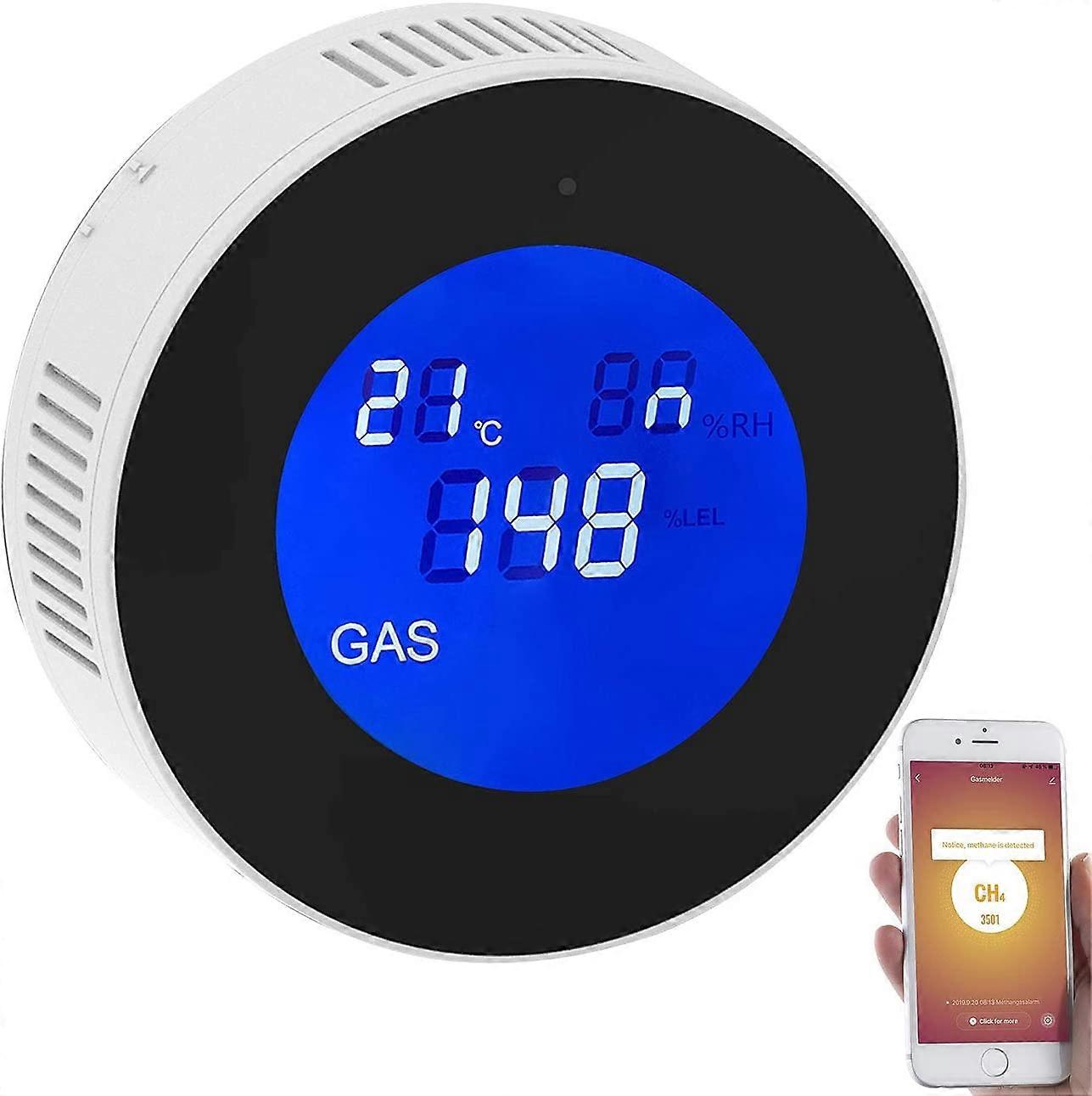 Multi-gas detector connected with voice announcement