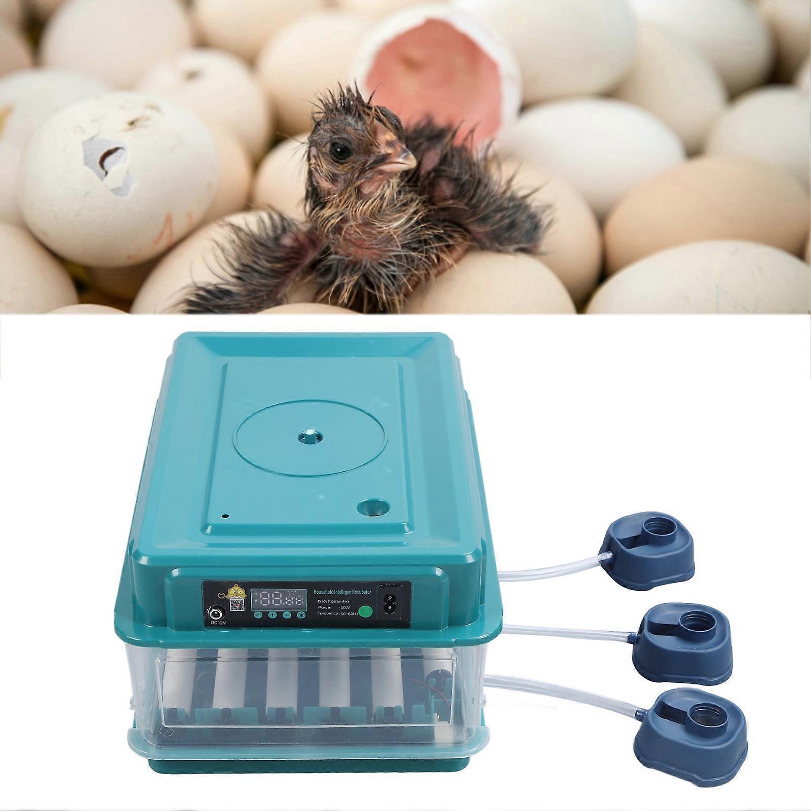 Egg Incubator Controller LED Light Automatic Flipping Incubator Humidity Controller Green EU Plug 220V 24 Eggs