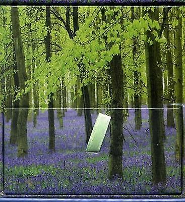 Memoblok - Bluebells