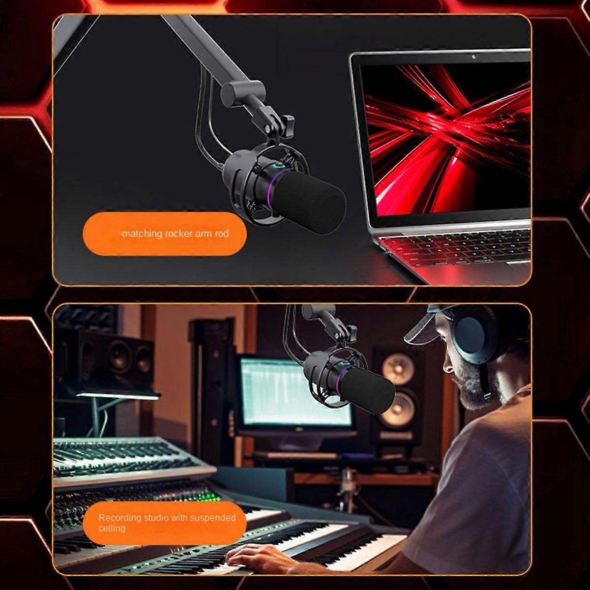 XLR USB Dynamic Microphone With Dubbing Recording Stent