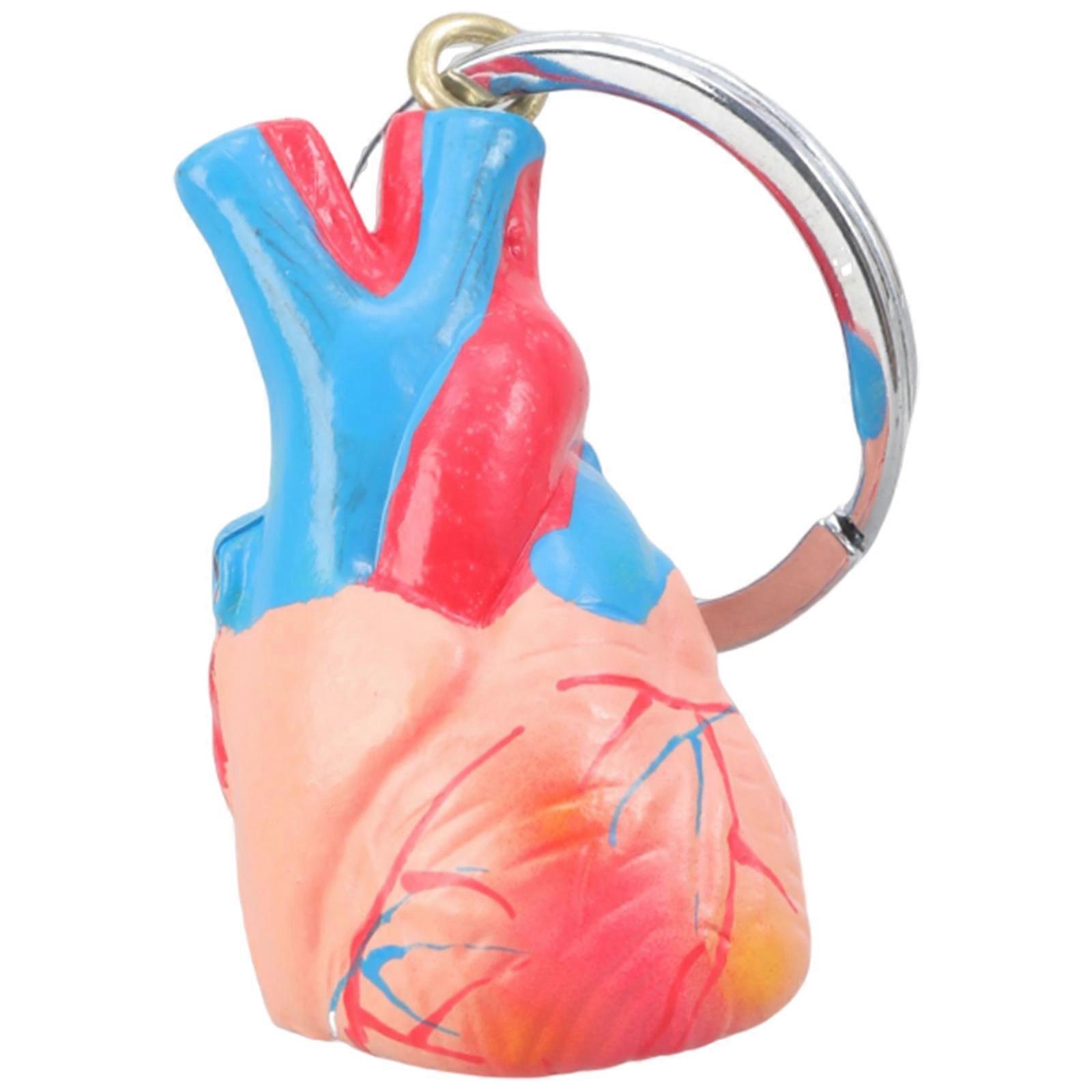 Precised Heart Model Keychain Realistic Anatomy Study Tool for Doctors Students Lightweight 20g Science Gift Multicolor