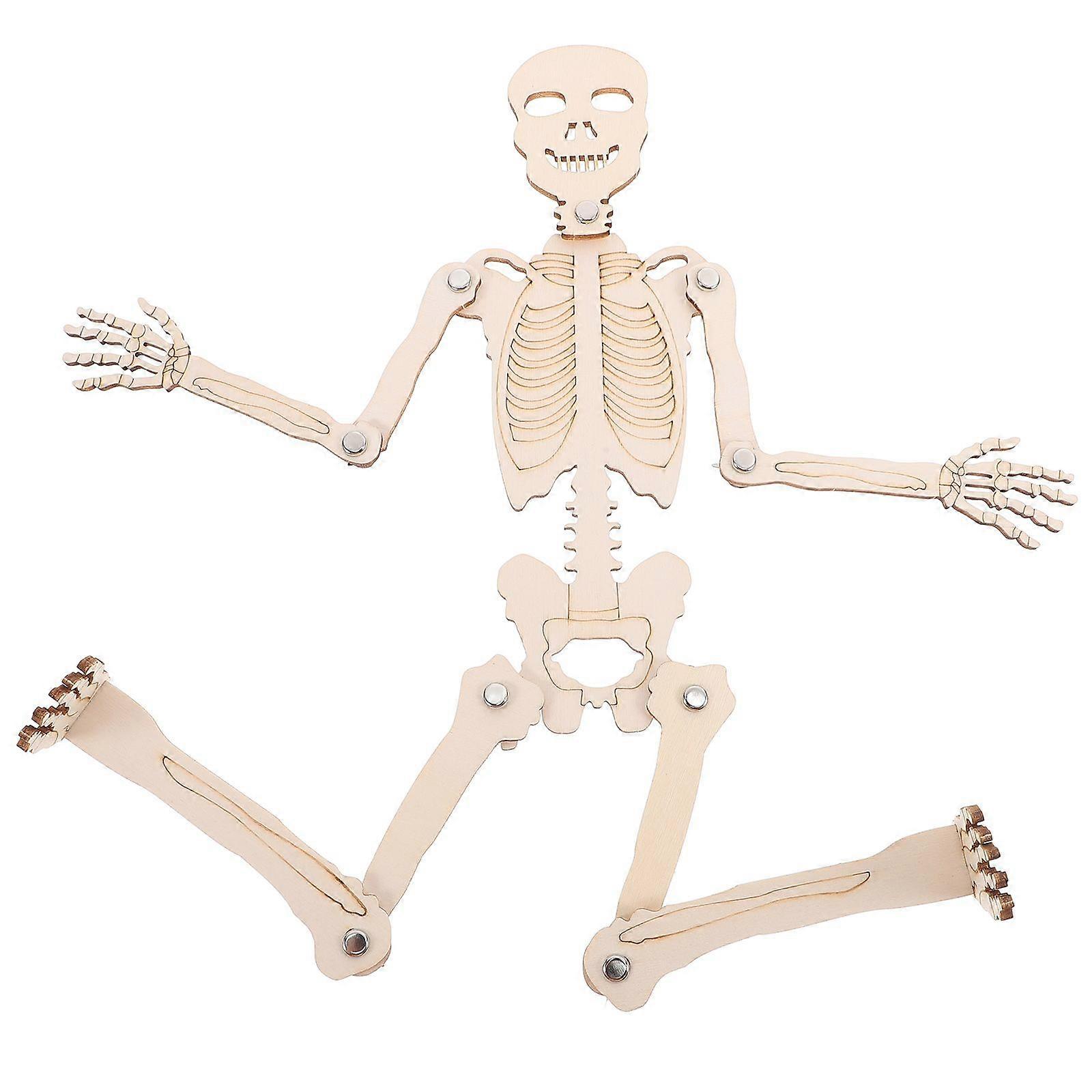 1 Set Skeleton Model Science Human Skeleton Cognitive Material Assembling Model