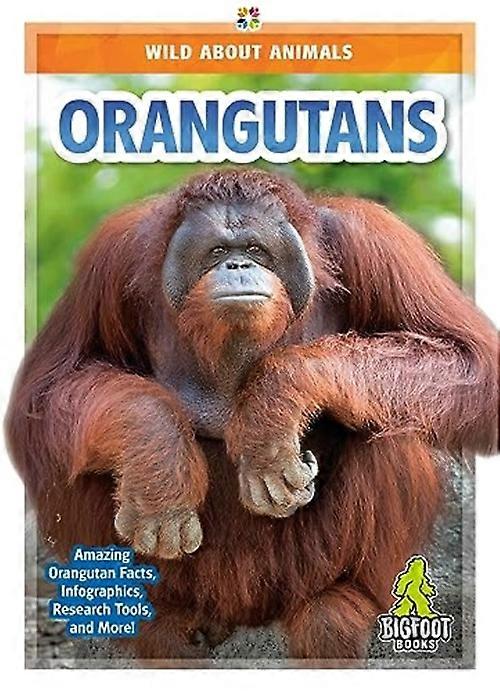 Orangs-outans
