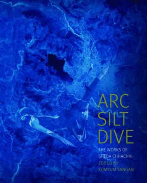 Arc Silt Dive The Works Of Sheba Chhachhi by Kumkum Sangari Paperback Book