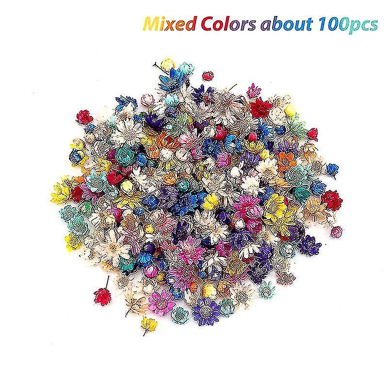 200pcs Dried Flowers For Diy Epoxy Resin Candle Making Jewellery Glass Filler Shytmv