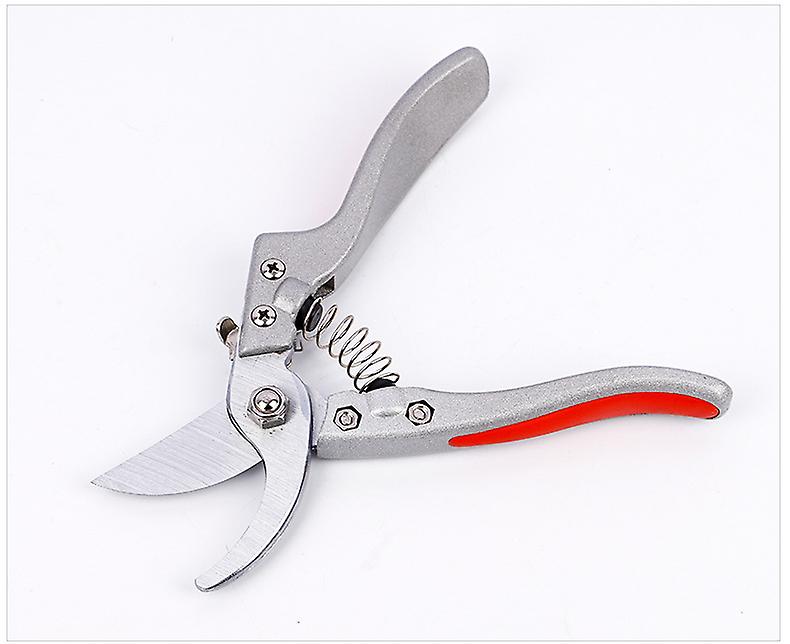 2023 - Stainless steel secateurs for precise cutting