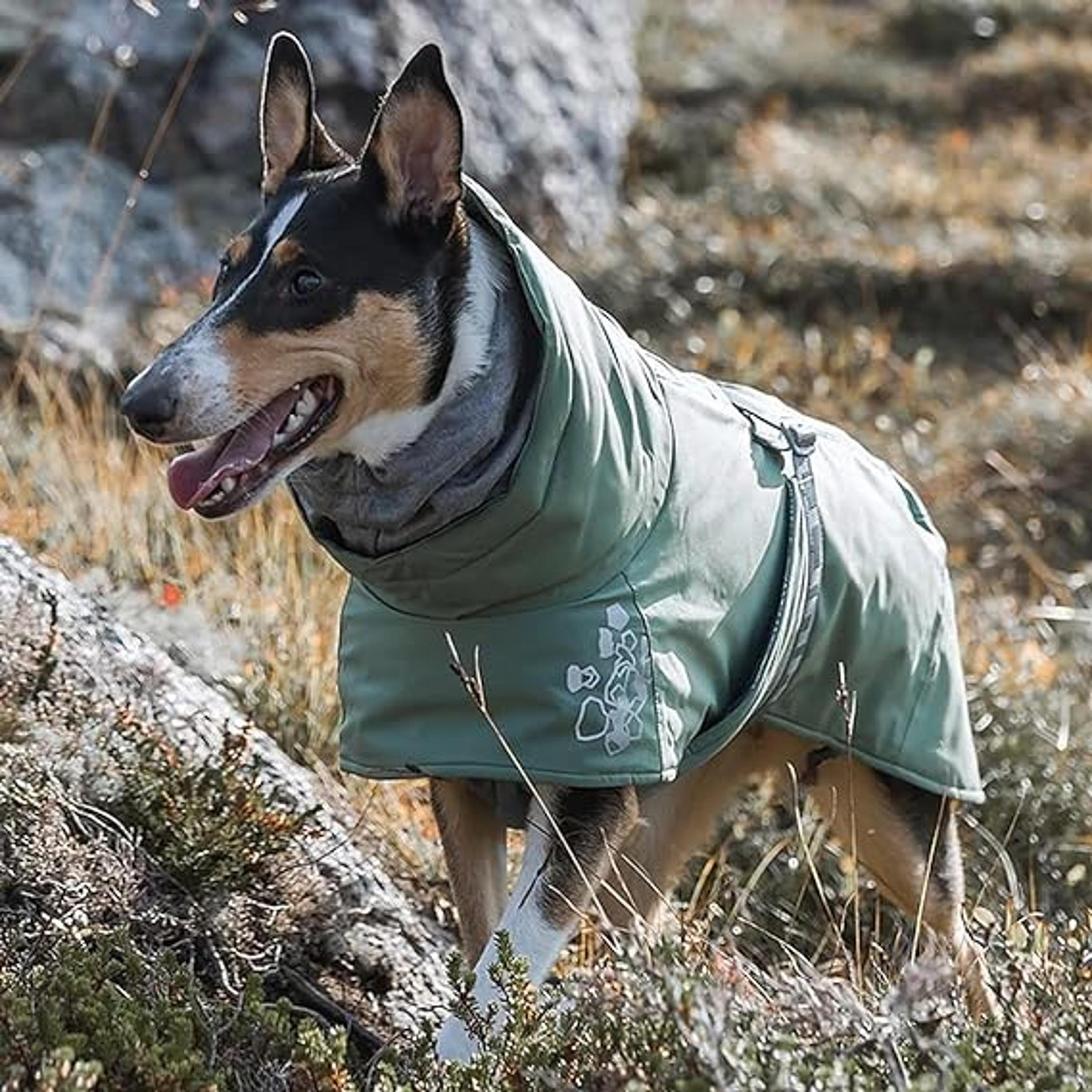 Hurtta Extreme Warmer ECO Hedge Dog Coat 45cm