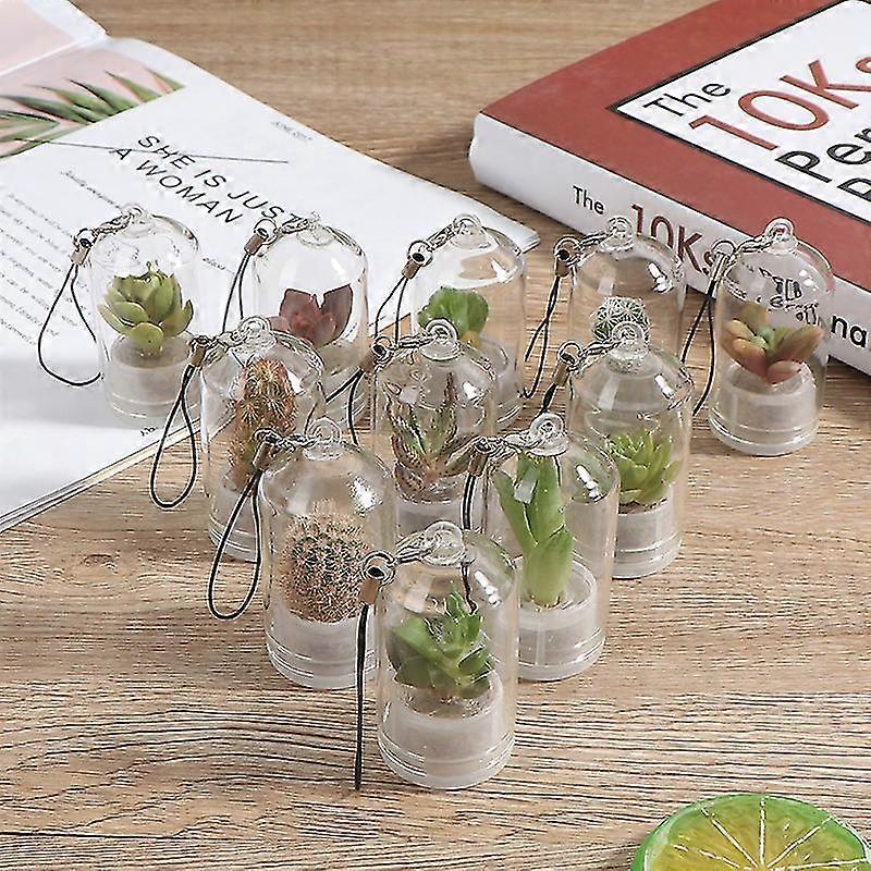 لطيف الصبار مصغرة عصاري الصبار Terrarium يمكن ارتداؤها قلادة لايف مصنع التميز