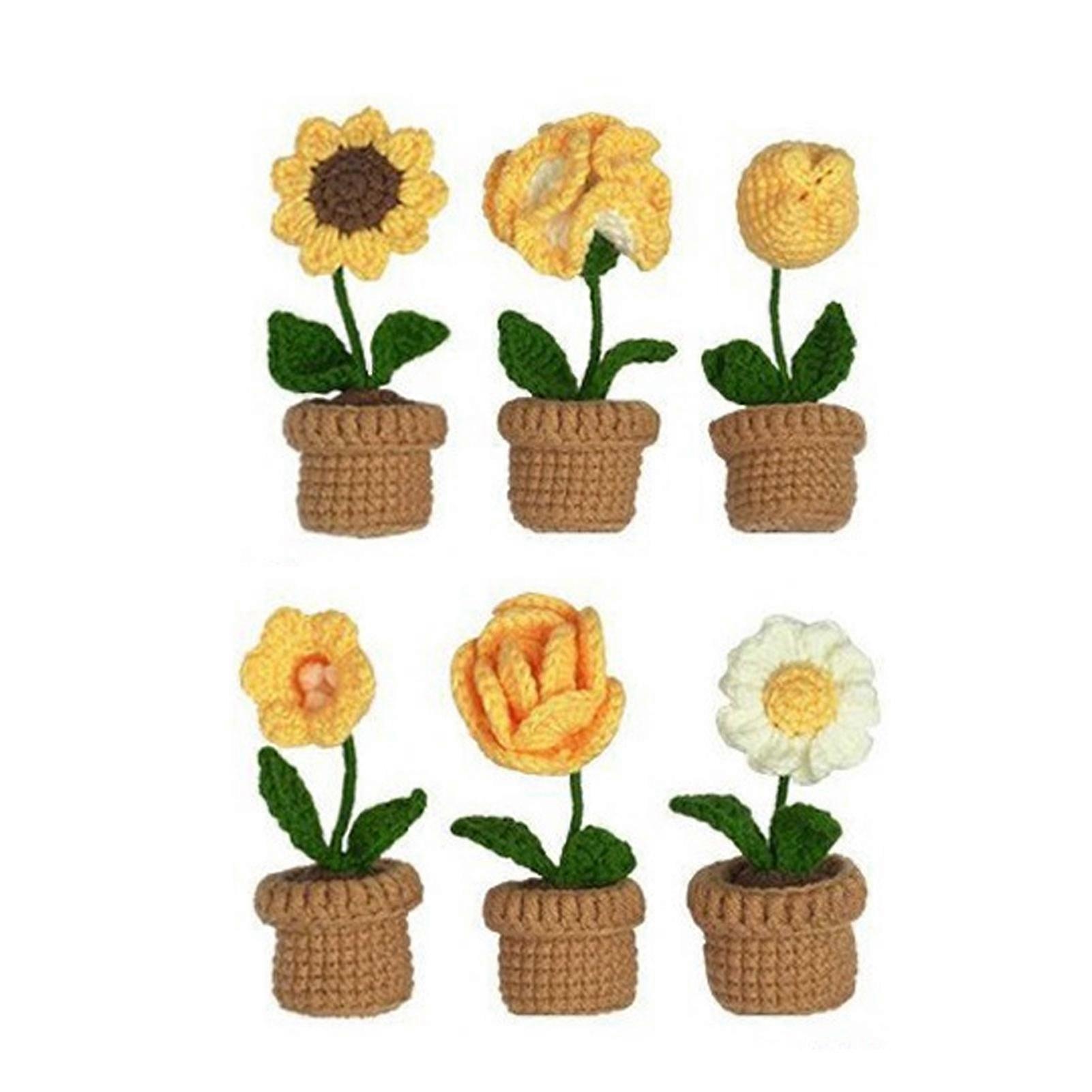 Potted Flowers Kit for Beginners Elegant and Cute Various Flowers for Improving Hands-on Ability