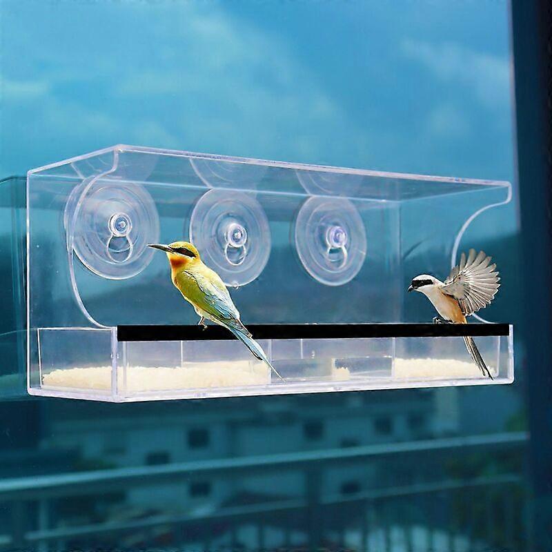 Window bird feeder with strong suction cups, suitable for cardinals, finches, tits, etc.