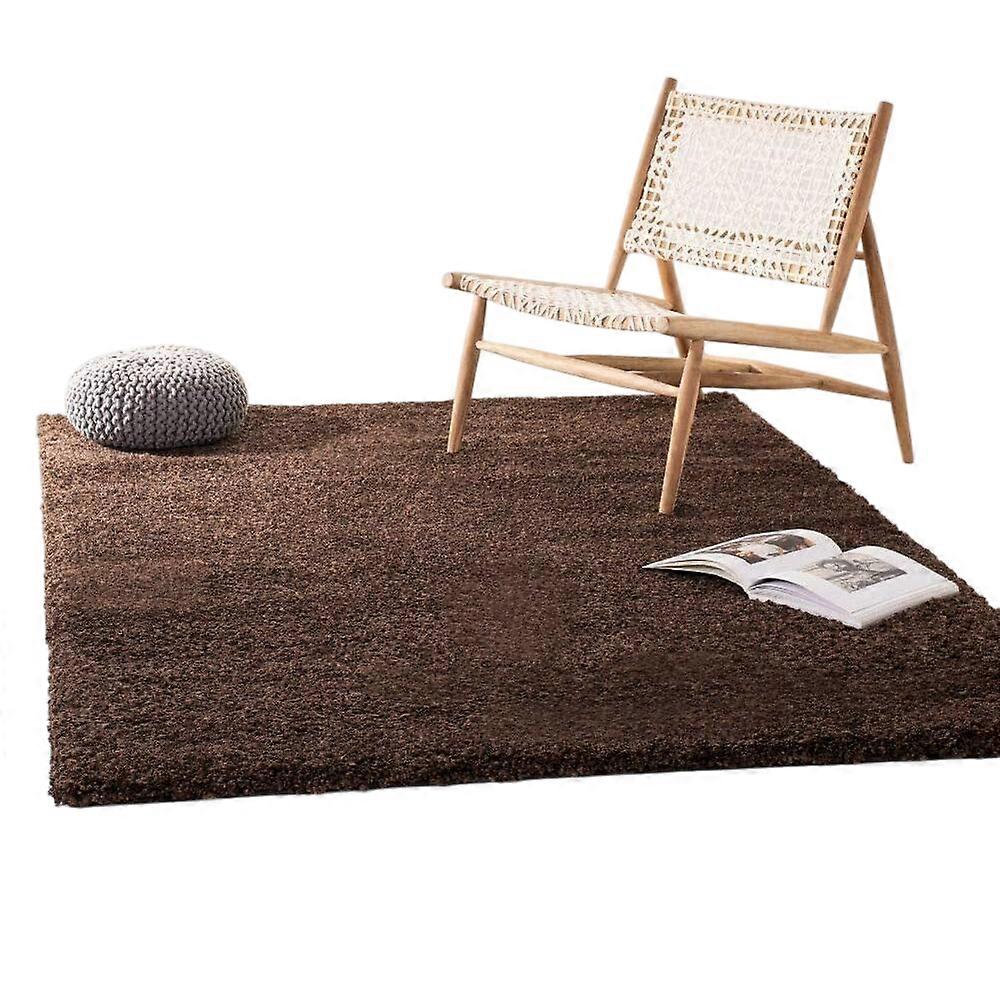 Soft Fluffy Shag Area Rugs for Living Room
