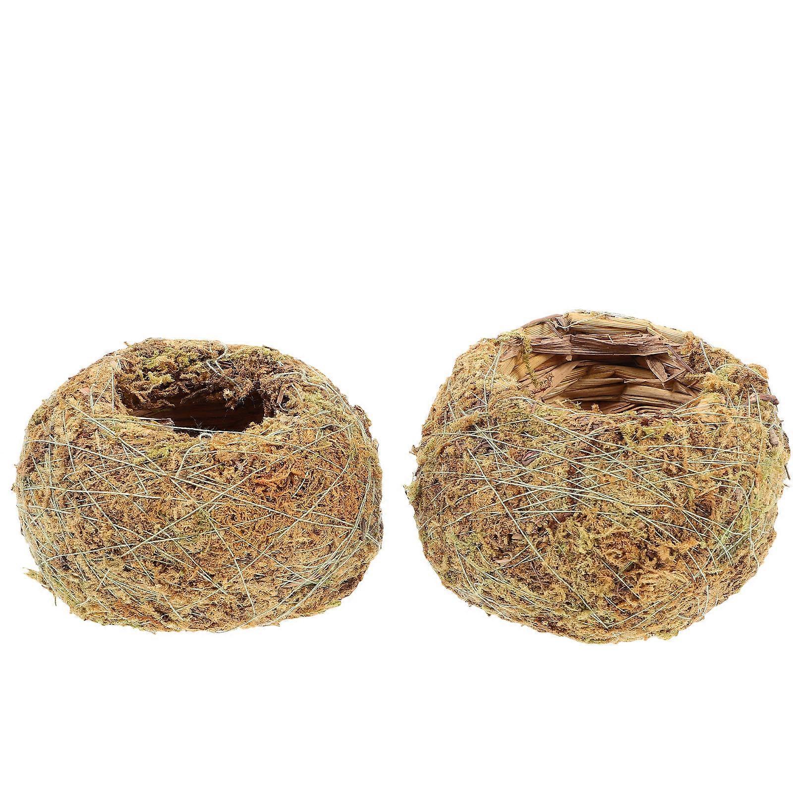 Creative Dry Moss Flower Pots Set of 2 Durable, Naturally Absorbent Planters for Home Decor, Gardening, Table and Balcony Display