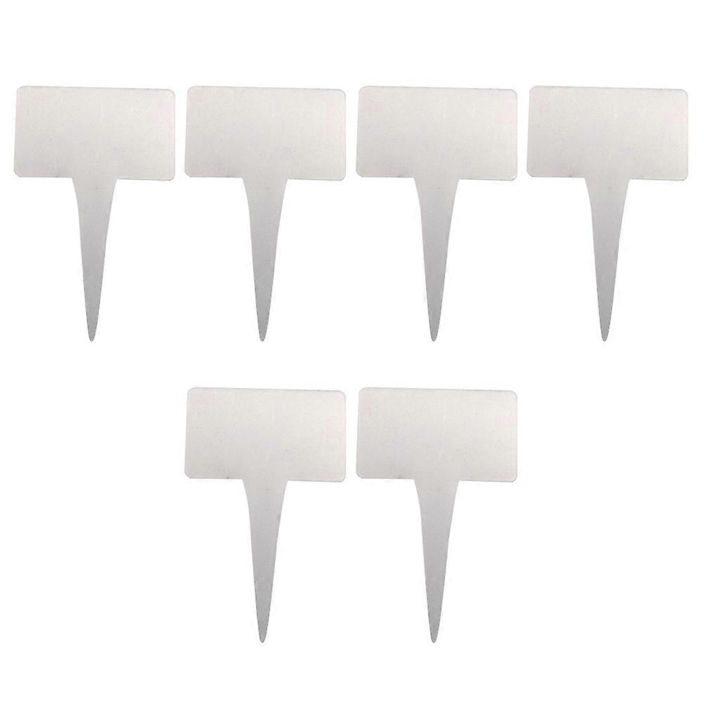 6pcs Reusable Acrylic Plant Labels for Succulents & Flowers – Easy Insert Garden Name Tags with Modern Design for Planters & Flower Pots