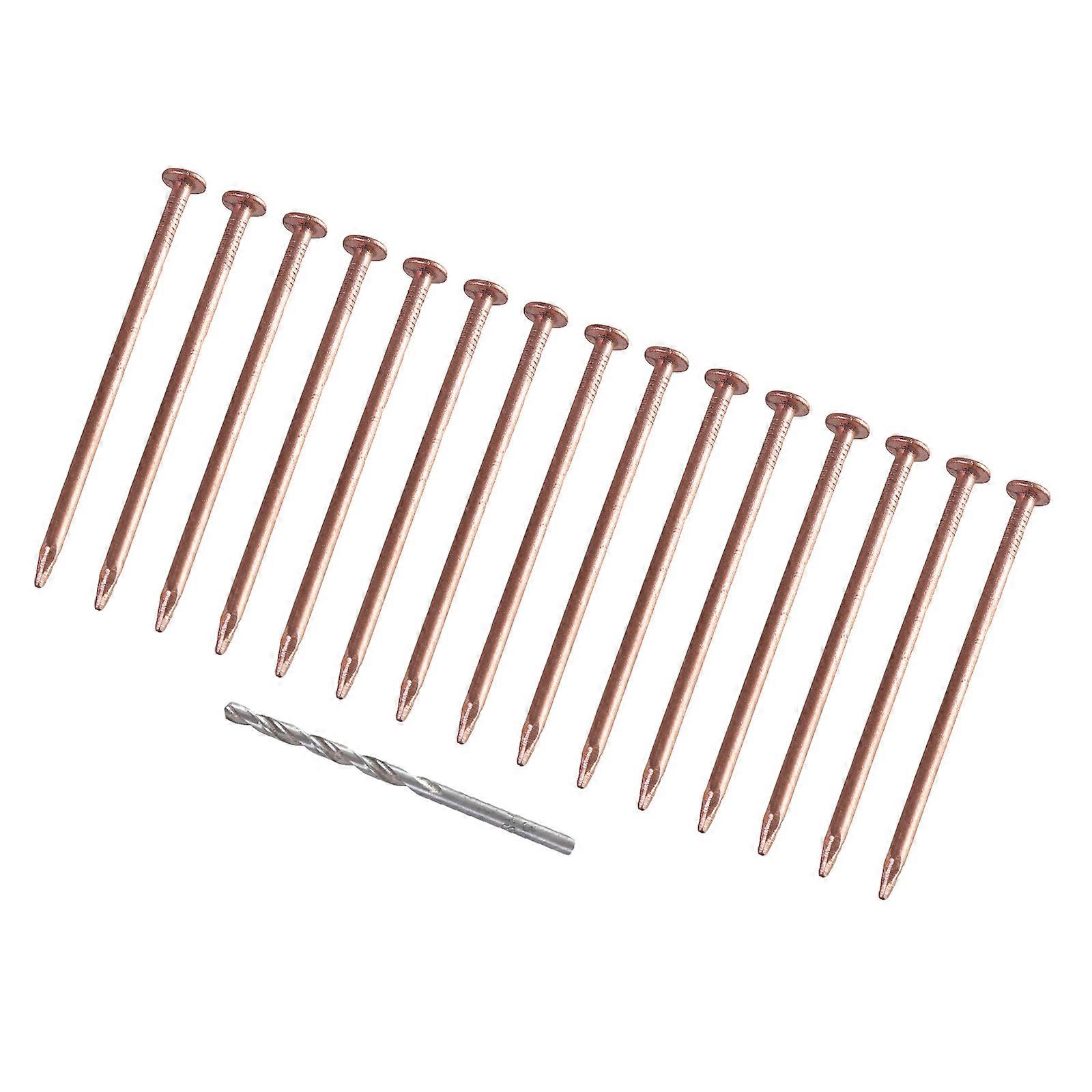 15Pcs Copper Nails Tree Stump Killers Stump Removal Spikes with 1 Drill Bit Nails for Slating Roofing Easy to Use Multicolor