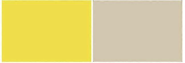 PVC Double Sided Waterproof Photography Background