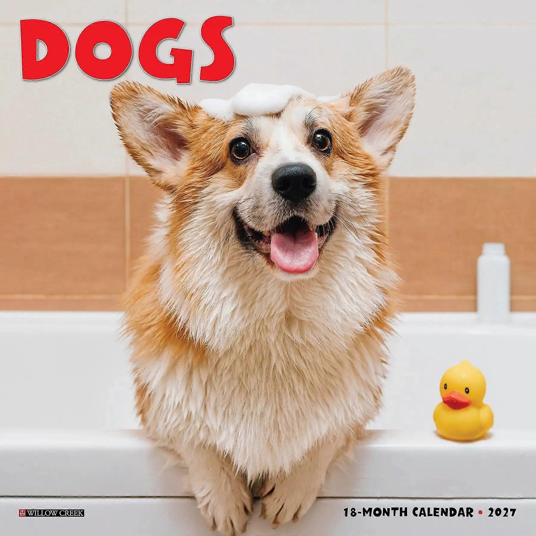 Dog Calendar 2027 Mini