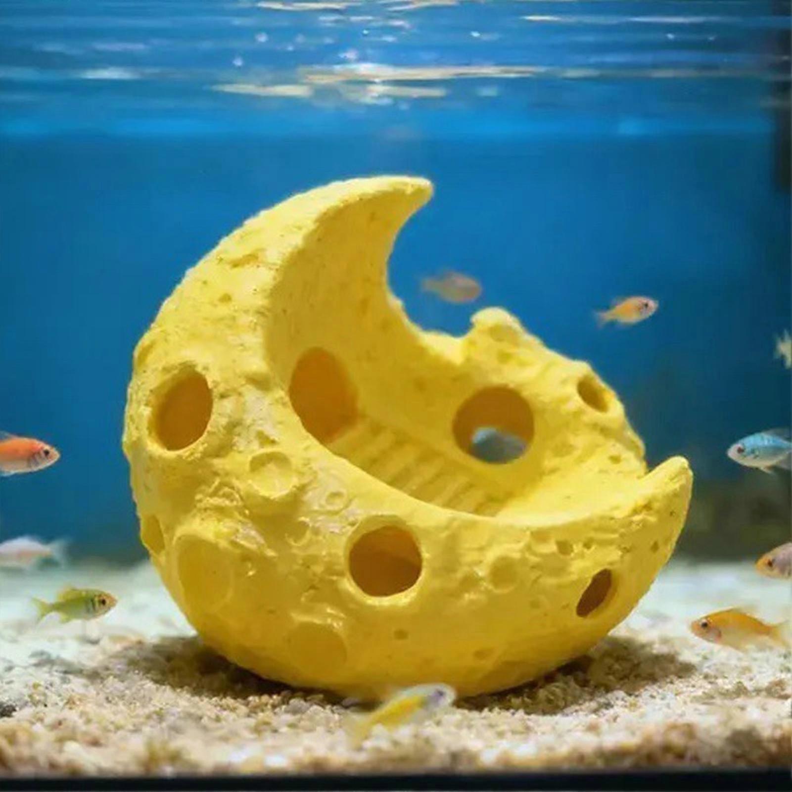 3 Size Moon Shape Fish Cave Tunnel