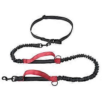 Portable double elastic running leash, double retractable dog leash, red pet leash645