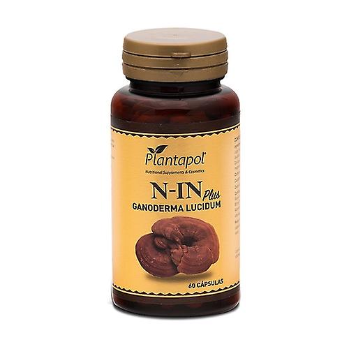 N-In plus 60 capsules of 500mg
