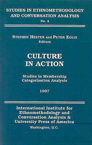 Culture In Action by Stephen Hester Paperback Book