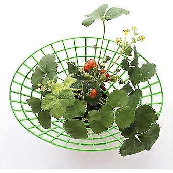 Strawberry Supports Stand 10pcs Strawberry Plant Supports Cages Climbing Trellis  Strawberry Rack Frame Holder Balcony Planting Rack Fruit Support Gard |  Fruugo NO