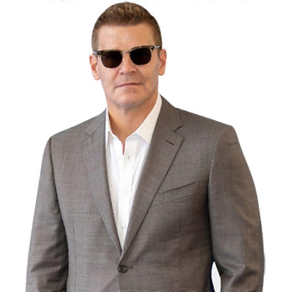 David Boreanaz (Anzug) Halbkörper Buddy Ausschnitt