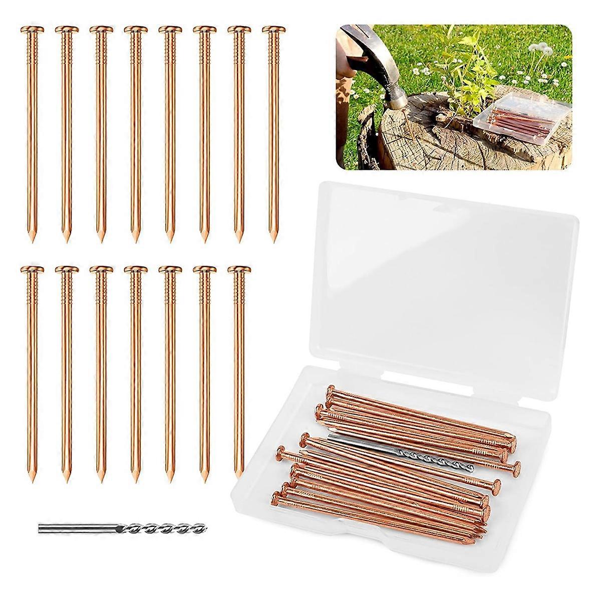 25 Pieces Copper Nails for Killing Tree Stump 