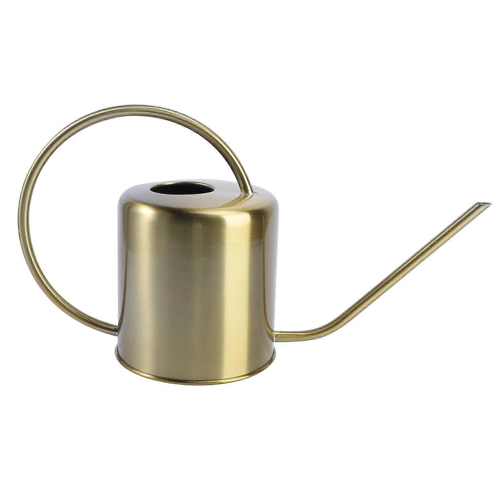 Stainless Steel Watering Can with Precision Long Spout RustResistant for Indoor Plants and Flowers