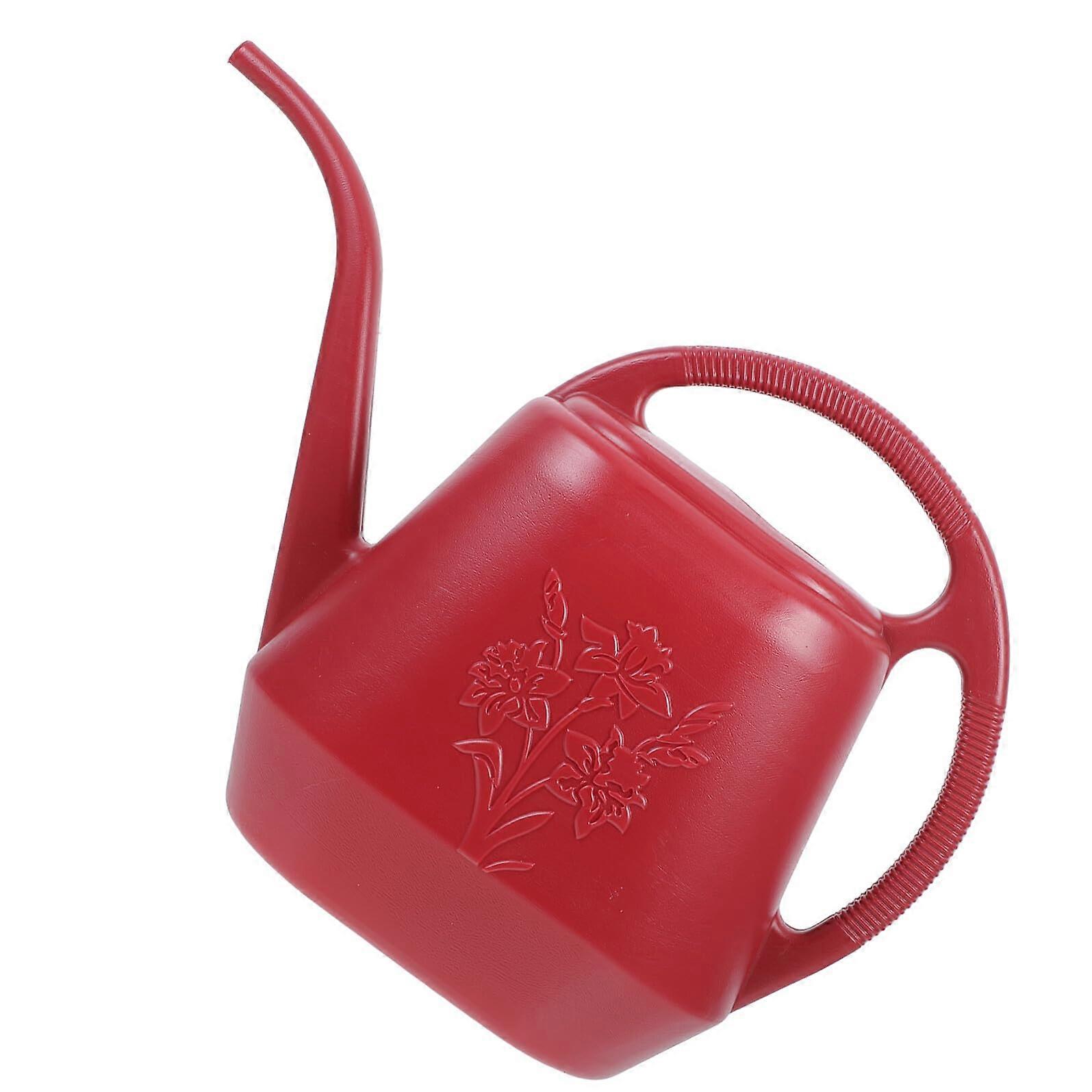 Watering Can with Long Spout for Indoor Plants and Flowers, Ergonomic Handle, Elegant Pattern