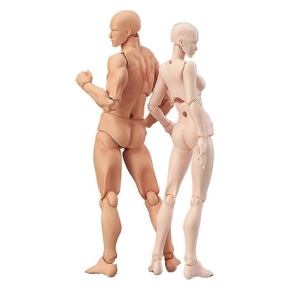 Jointed Action Figure Model for Stop Motion and Drawing A