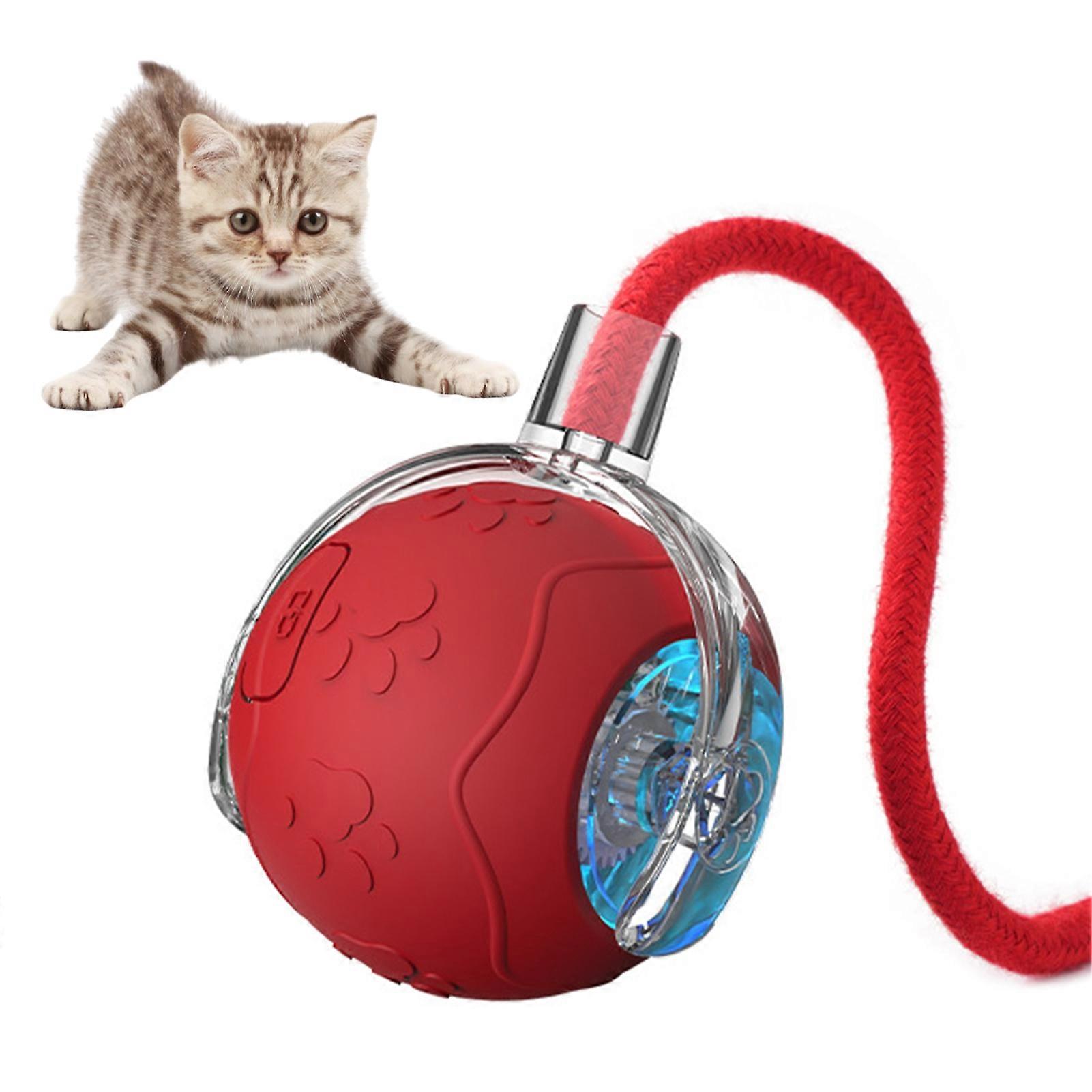 2026 New Interactive Cat Toy Balls, Upgraded Cat Toy Ball for Bored Indoor Adult Cats, Interactive Pet Ball for Cats
