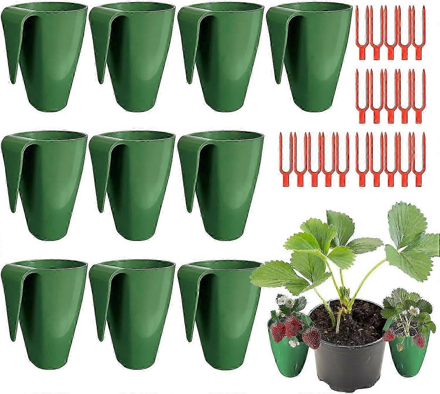 Self-Watering Strawberry Propagation Kit