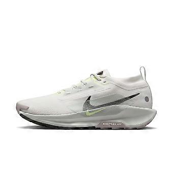 Nike Pegasus Trail 5 Gore Tex Summit White Light Silver College Grey Sequoia FQ0908-102