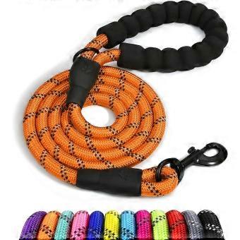 Nylon Dog Leash with Padded Handle, Reflective Rope, Orange, 150cm x 1.2cm