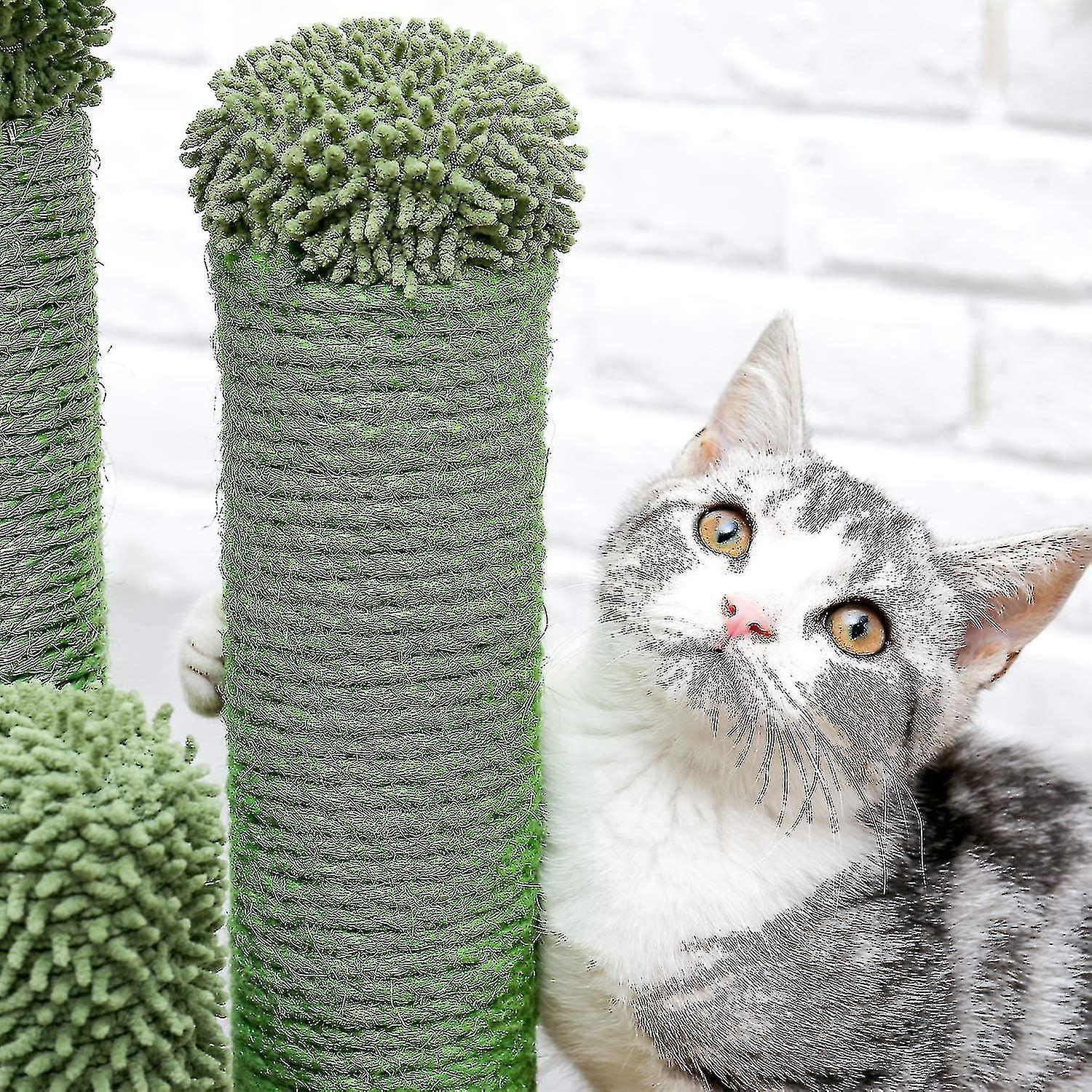Cat Scratching Post Cactus Cat Scratcher Featuring With 3 Scratching