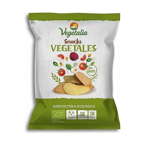 Vegetable Snacks 45 g