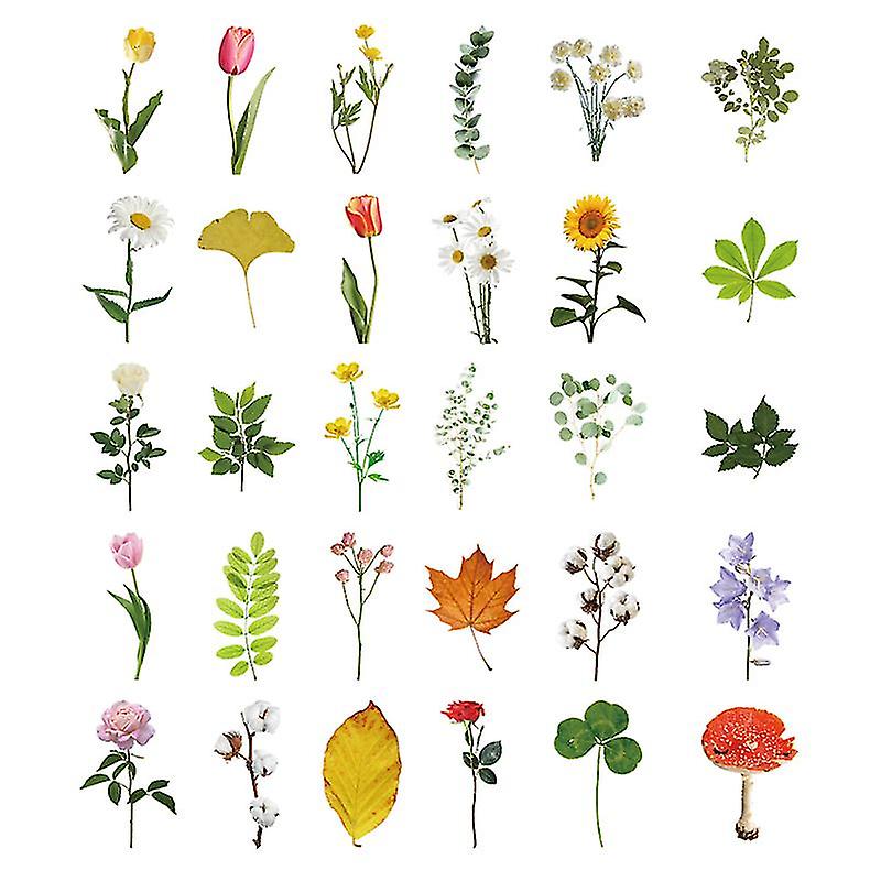 30pcs Greeting Cards