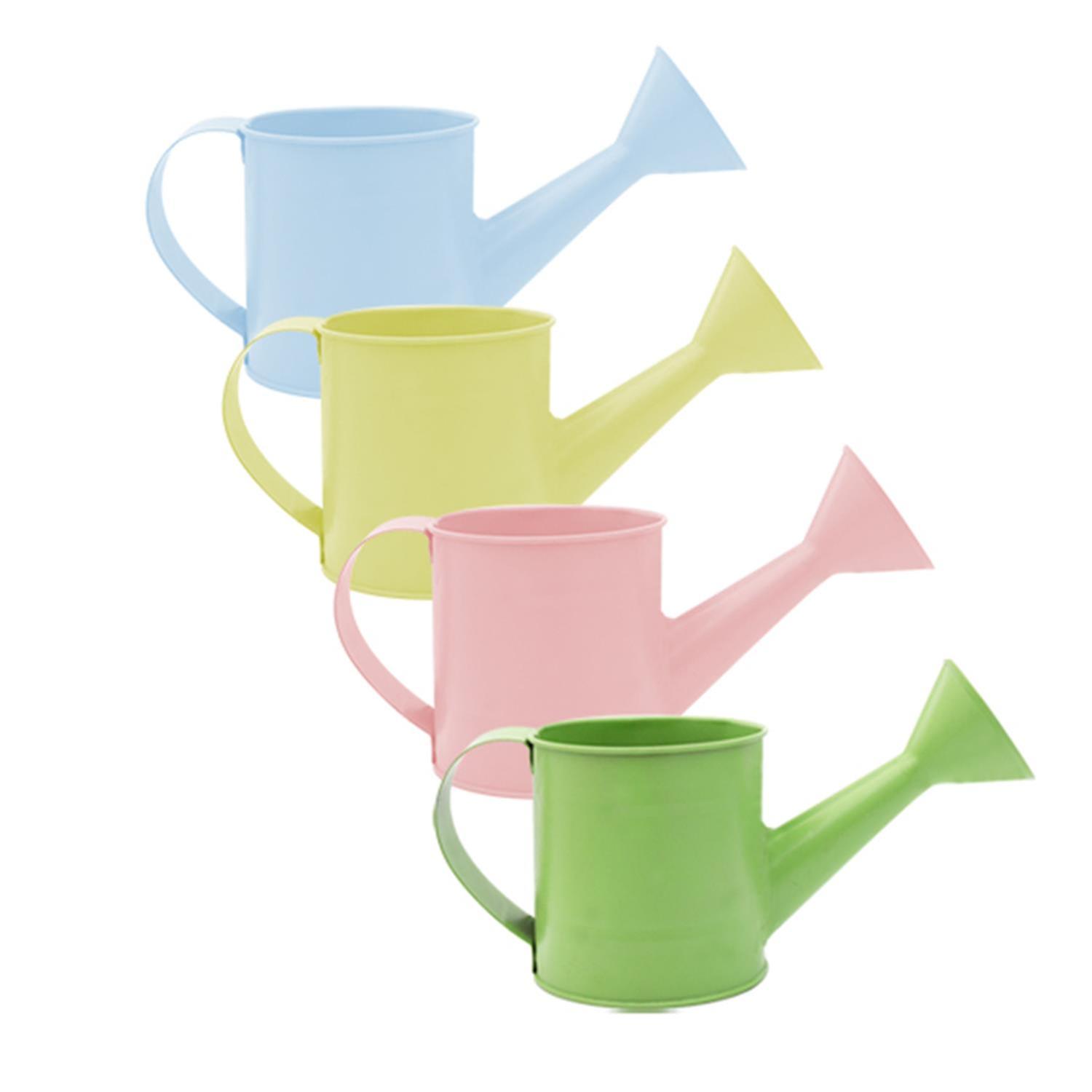 Small Water can Planter with hang Tag 4 assorted Colours