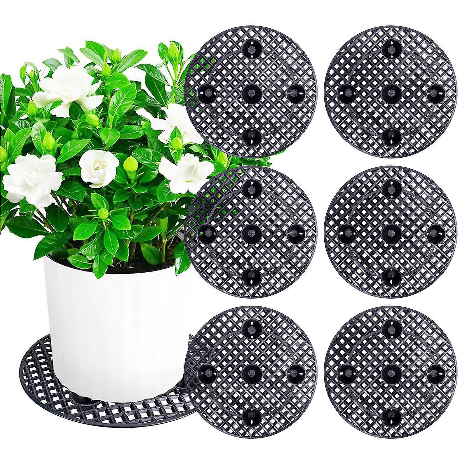 6 عبوات صواني شتلات 40 سم - تغليف علب كرتون واقية