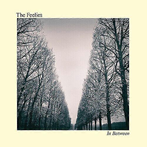 The Feelies In Between CD (2017)
