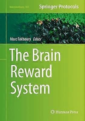 The Brain Reward System
