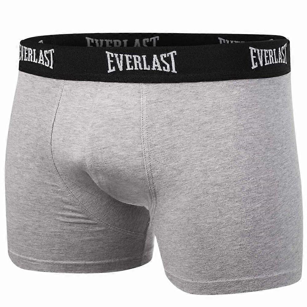 Briefs and knickers Everlast BM002XX