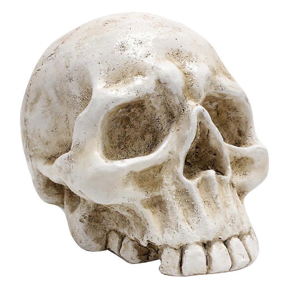 Scary Skull Shape Resin Statue Suitable For Office Decor Haunted House Scene 1Set