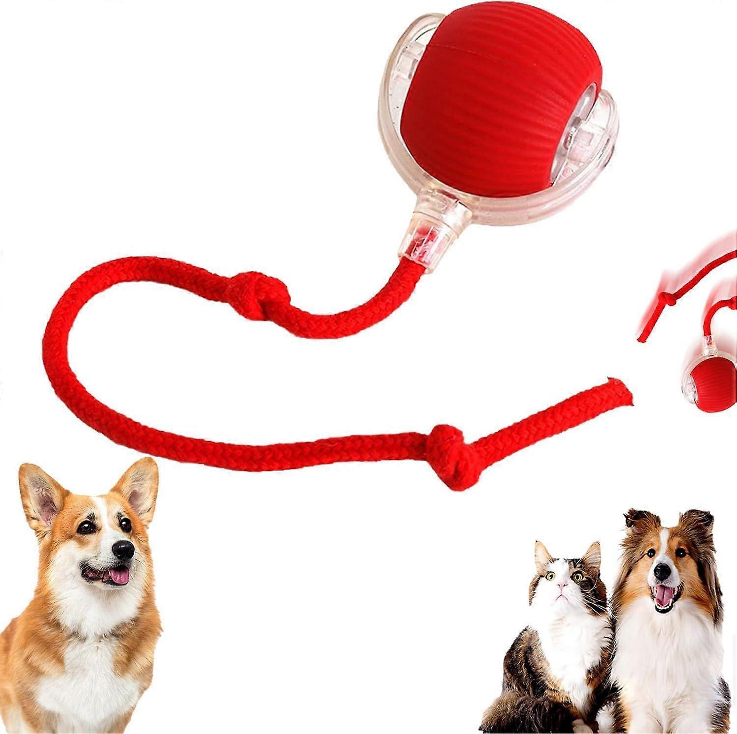 Rolling Ball For Cats And Dogs Chewie Smart Cat Toy Ball Red