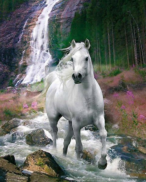 Bob Langrish : WaterfallJigsaw Puzzle Brain Teaser P0428