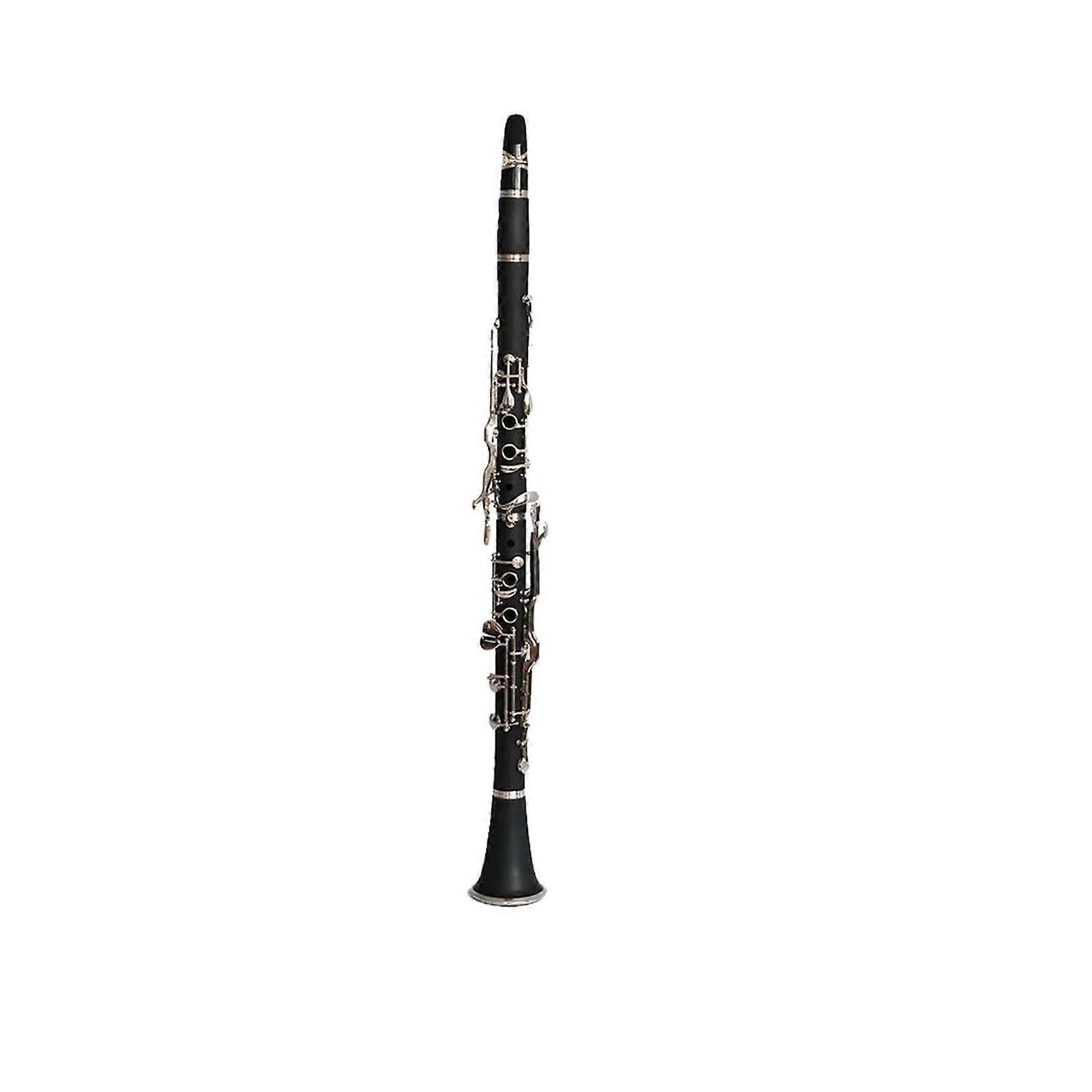 Professional Bb Clarinet 17 Keys with Case, Durable Metal Construction for Orchestra and Beginners