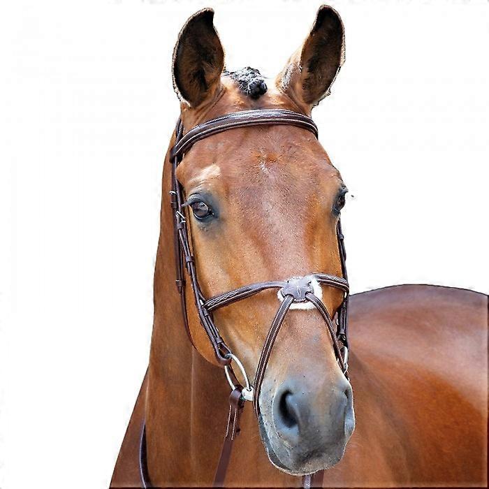 Salisbury Brackley Leder Stich Pferd Bridle